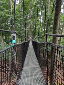PXL_20250709_113920180.jpg