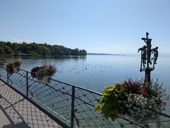 PXL_20250710_075335889.jpg