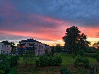 IMG_20250720_214532.jpg