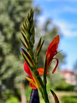 IMG_20250721_100745.jpg