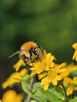 IMG_20250721_172037_1.jpg