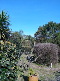 IMG_20250721_135510.jpg