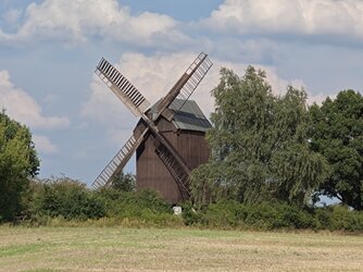 NP3_Zoom_Muehle_10x.jpg NP3_Zoom_Muehle_10x.jpg