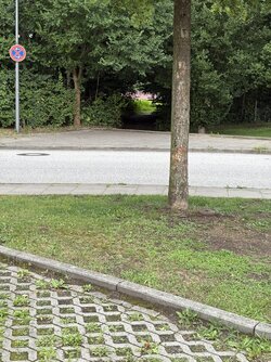 IMG_0813.jpg
