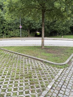 IMG_0812.jpg