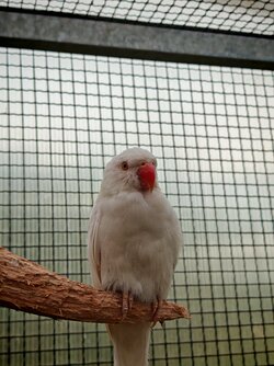 IMG_20250721_142959.jpg