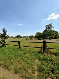 IMG_20250701_145113.jpg