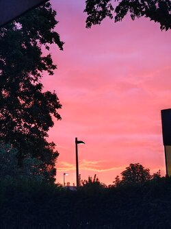 IMG_20250720_211332647_HDR.jpg