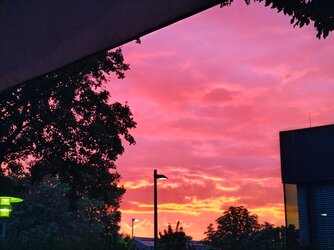 IMG_20250720_211613691_HDR.jpg