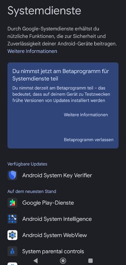 Screenshot_2025-07-17-12-31-10-564_com.android.vending-edit.jpg