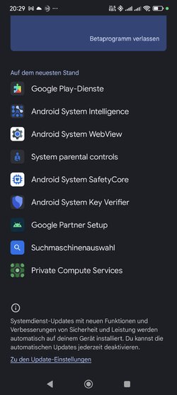 Screenshot_2025-07-15-20-29-53-646_com.android.vending.jpg