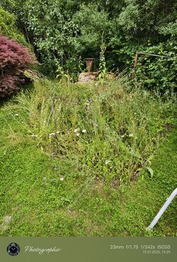 IMG_20250719_130931.jpg