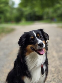 s24u main portrait 1.jpg