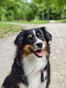 xfold5 portrait 1.jpg