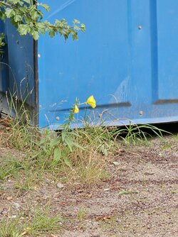 s24u zoom x10.jpg
