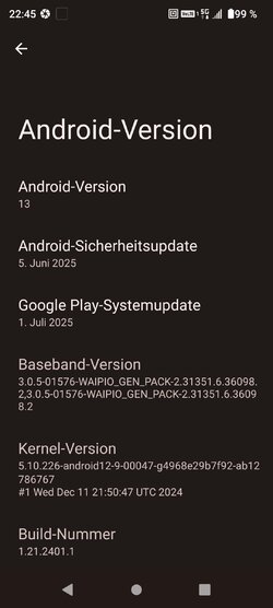 Screenshot_2025-07-22_224513.jpg