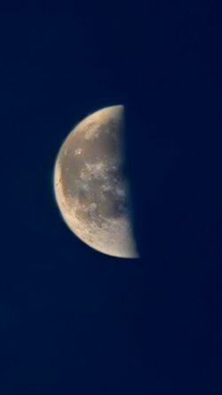 IMG_20250718_050528.jpg
