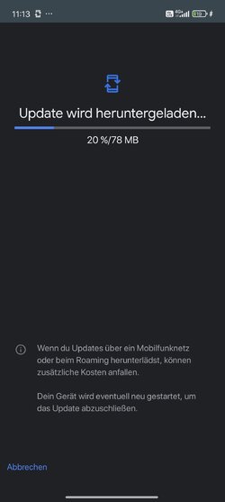 Screenshot_2025-07-23-11-13-01-950_com.android.vending.jpg