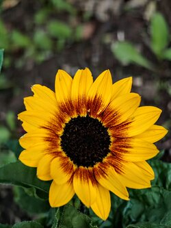 IMG20250723121700~2.jpg