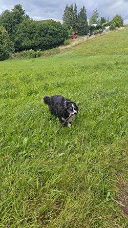MVIMG_20250723_132100.jpg