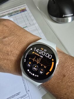 20250723_142000.jpg