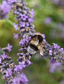 IMG_20250723_152355.jpg