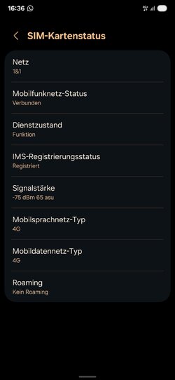 Screenshot_20250723_163632_Settings.jpg