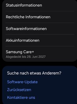Screenshot_20250723_175308_Settings.jpg