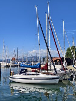 IMG_20250723_101325.jpg