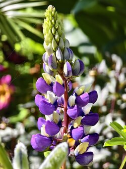 IMG_20250723_095559.jpg