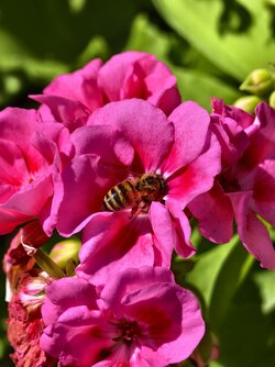 IMG_20250723_095552.jpg