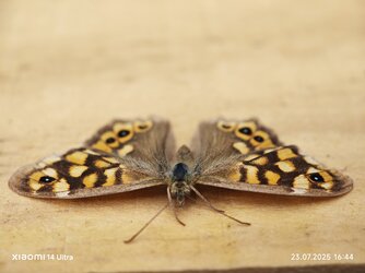 IMG_20250723_164418.jpg