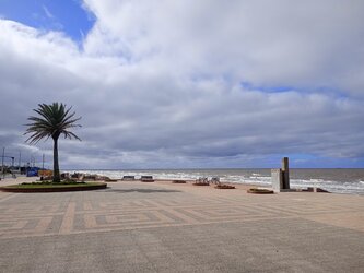 IMG_20250723_113930.jpg