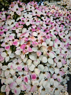 IMG_20250723_163851.jpg