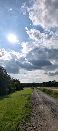 IMG_20250723_175121.jpg
