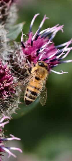 IMG_20250723_175328.jpg