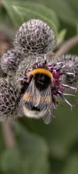 IMG_20250723_175653.jpg