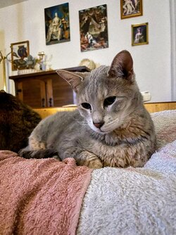 IMG_0059.jpg