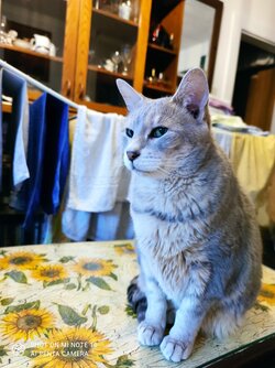 IMG_20210102_162325.jpg