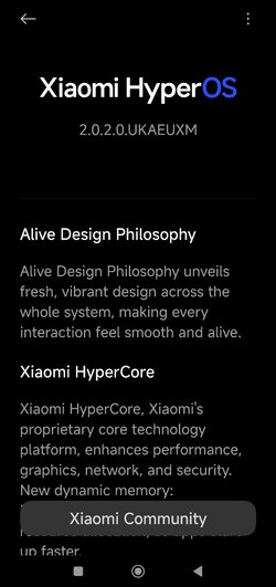 Screenshot_2025-07-25-13-17-20-979_com.android.updater.jpg