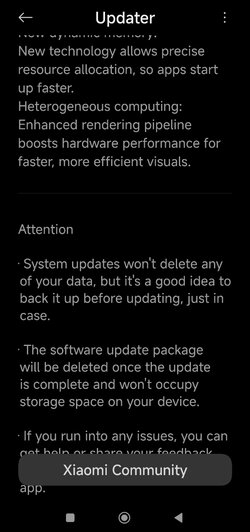Screenshot_2025-07-25-13-18-32-104_com.android.updater.jpg