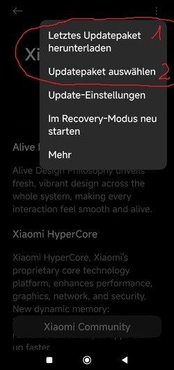 Screenshot_2025-07-25-13-21-00-486_com.android.updater.jpg