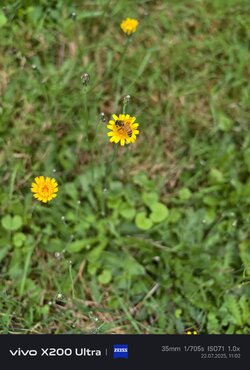 IMG_20250722_110227_1.jpg