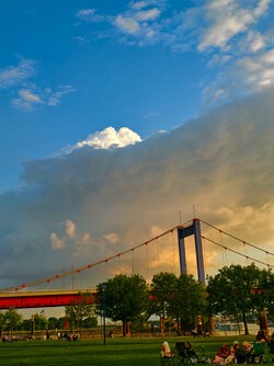 IMG_20250724_205253.jpg