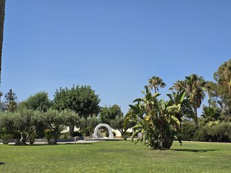 20250724_153944.jpg