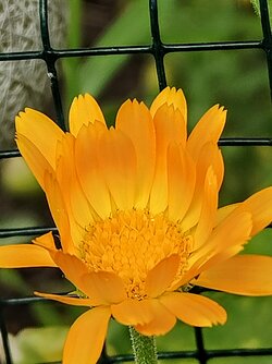 IMG20250725171154~2.jpg