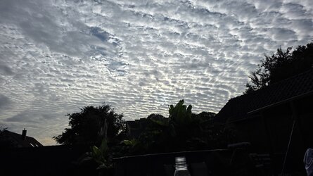 20250725_194828.jpg