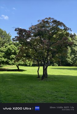 IMG_20250725_171047.jpg