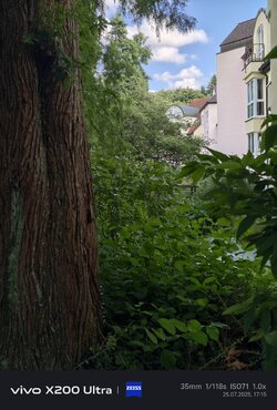 IMG_20250725_171513.jpg