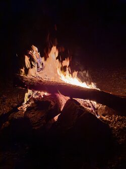 IMG_20250712_224858.jpg